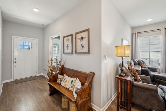 entryway with wood finished floors, a wealth of natural light, and baseboards