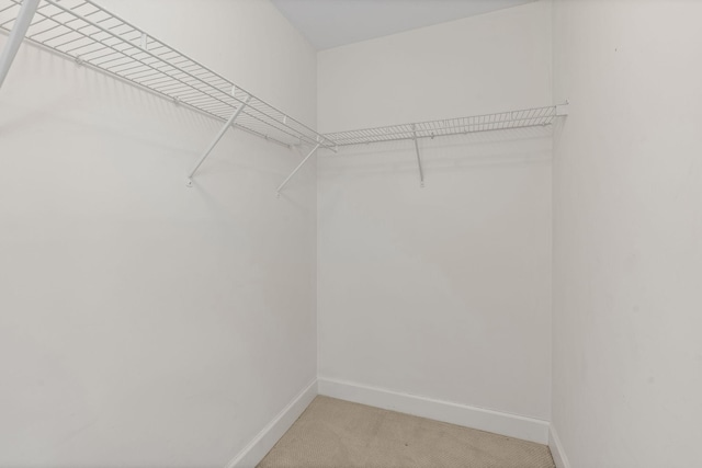 spacious closet featuring light carpet