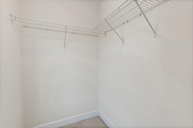 walk in closet with light colored carpet