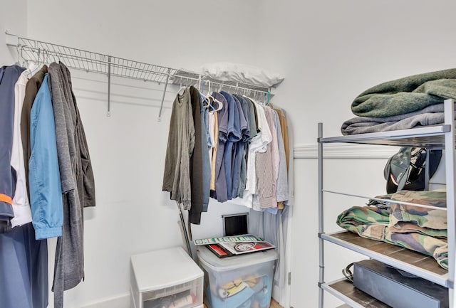 view of spacious closet