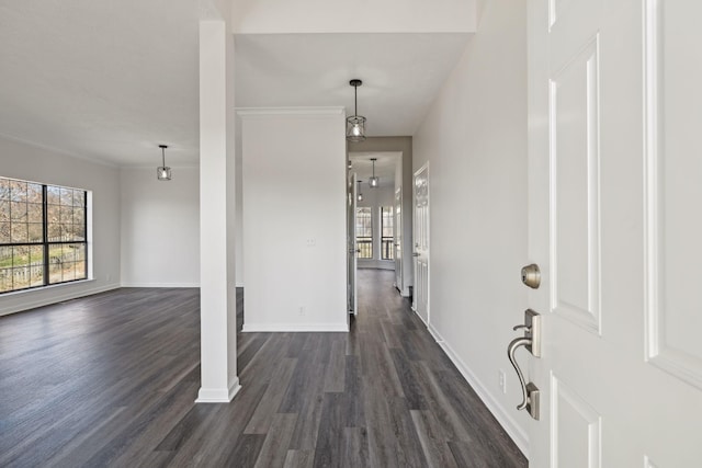 entryway with dark wood-style floors, crown molding, and baseboards