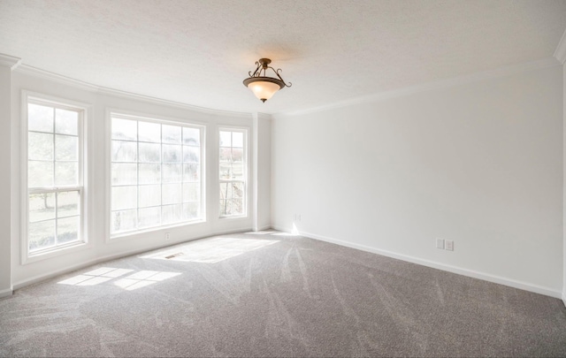 unfurnished room featuring baseboards, carpet, ornamental molding, and a textured ceiling