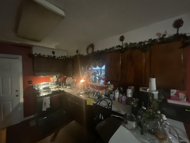 kitchen with black electric range and a sink