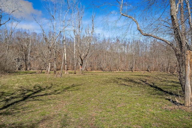 view of yard featuring a wooded view