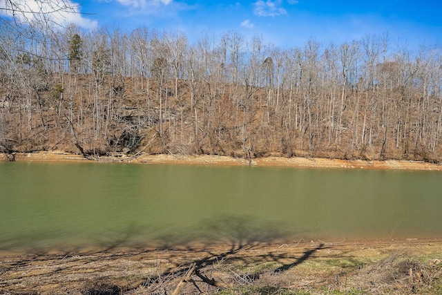 water view with a view of trees