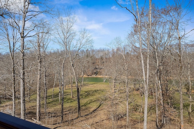 view of nature with a forest view