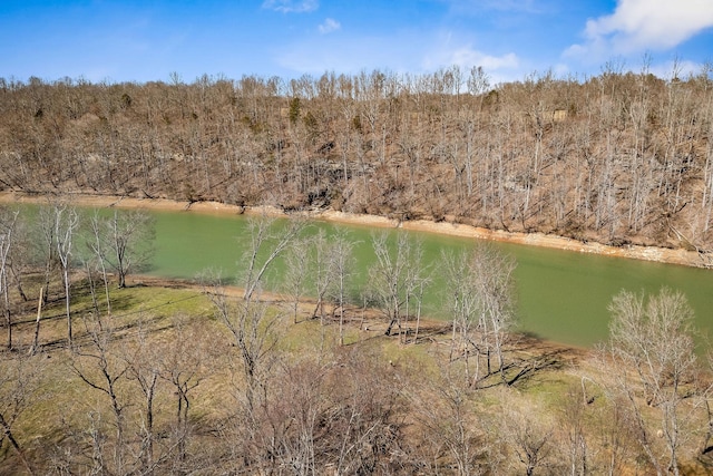 water view featuring a forest view