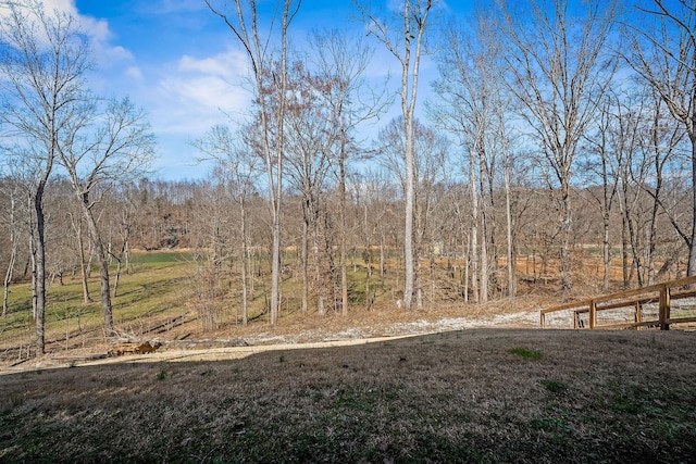 view of yard featuring a wooded view