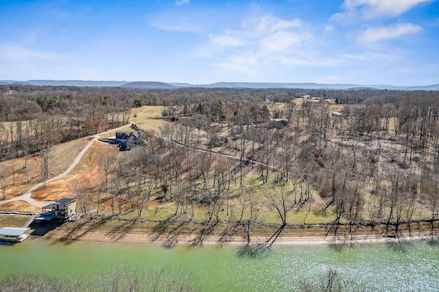 drone / aerial view featuring a forest view and a water and mountain view