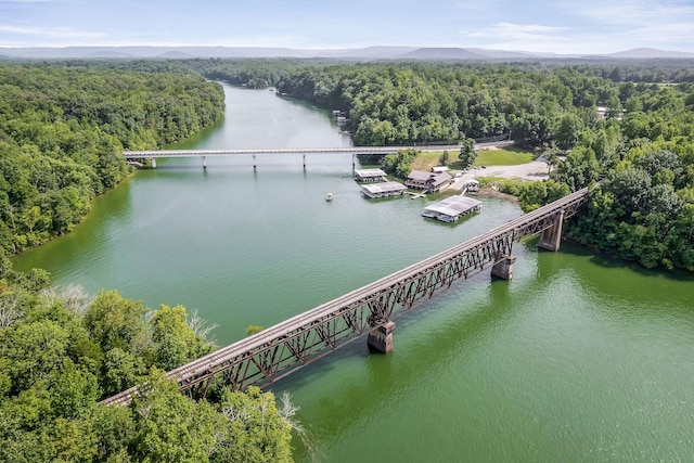 330 Aenon Falls Ln, Rock Island, TN 38581 - photo 56