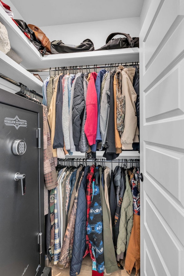 view of walk in closet