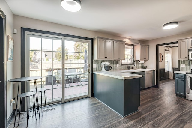 kitchen featuring a peninsula, a sink, appliances with stainless steel finishes, and dark wood-type flooring