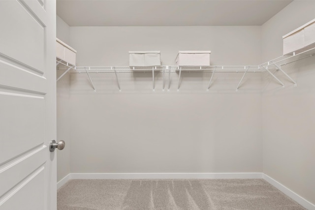 spacious closet with carpet