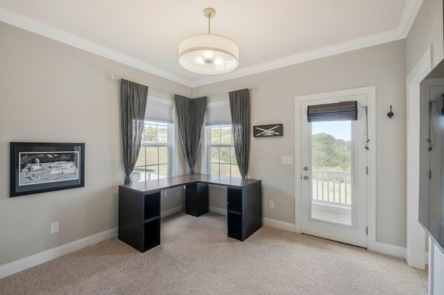 office space featuring ornamental molding, carpet flooring, and baseboards