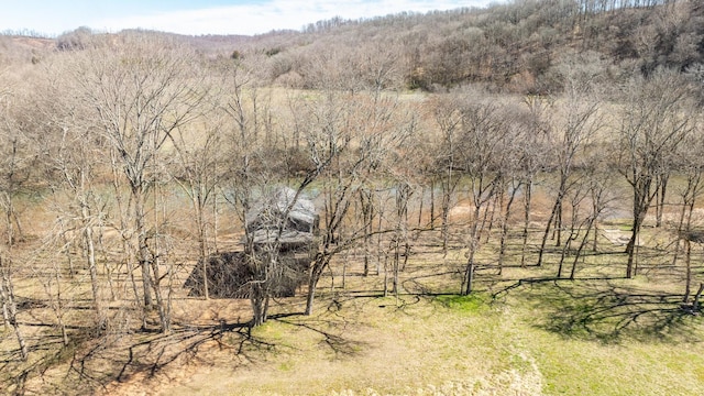 view of landscape featuring a forest view