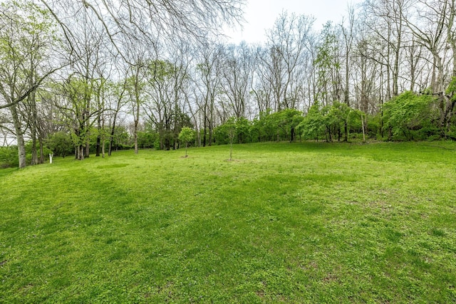 210 Shevel Dr, Goodlettsville, TN 37072 - photo 58