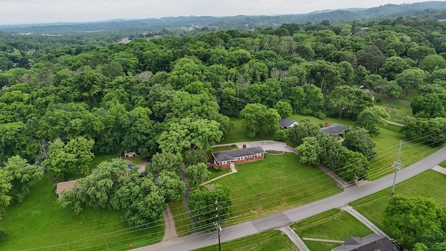 210 Shevel Dr, Goodlettsville, TN 37072 - photo 62
