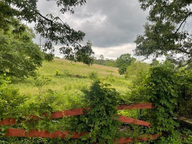 view of local wilderness