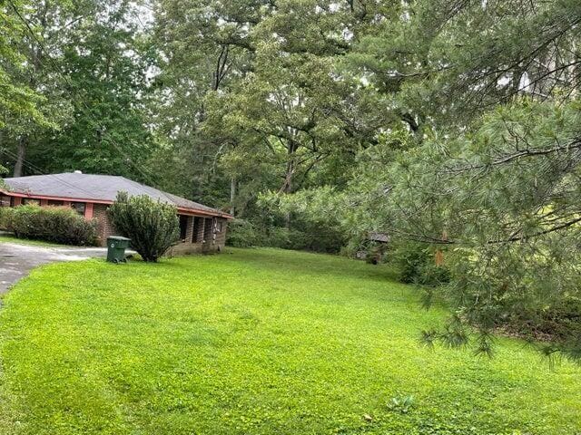 view of yard featuring driveway