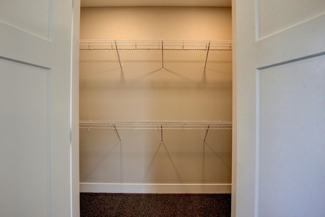 walk in closet featuring carpet flooring