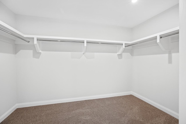 spacious closet featuring carpet flooring