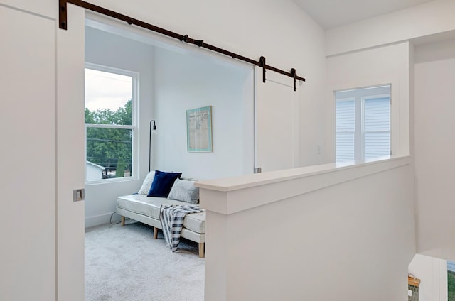 hallway with carpet flooring, baseboards, and a barn door