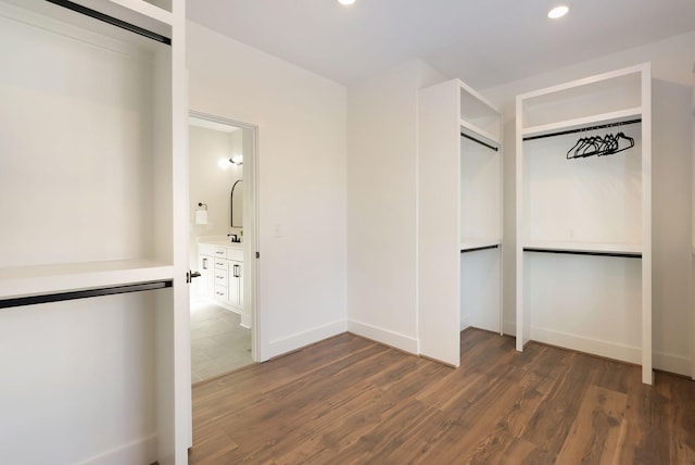 walk in closet featuring a sink and dark wood-type flooring