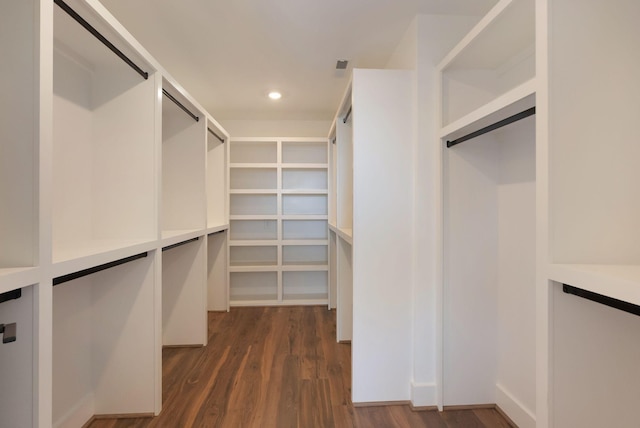 spacious closet featuring dark wood-style floors