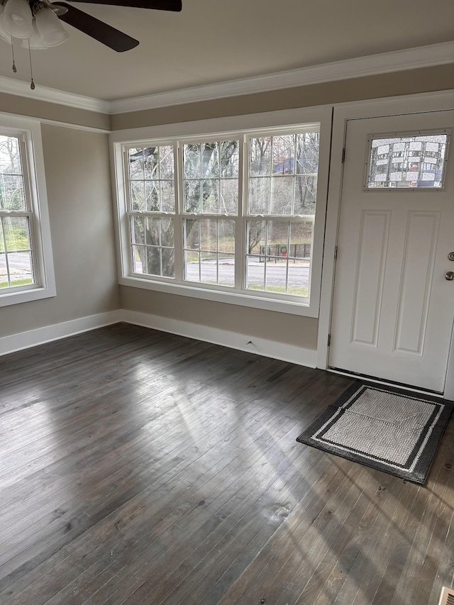 entrance foyer featuring a wealth of natural light, a ceiling fan, dark wood-style flooring, and crown molding