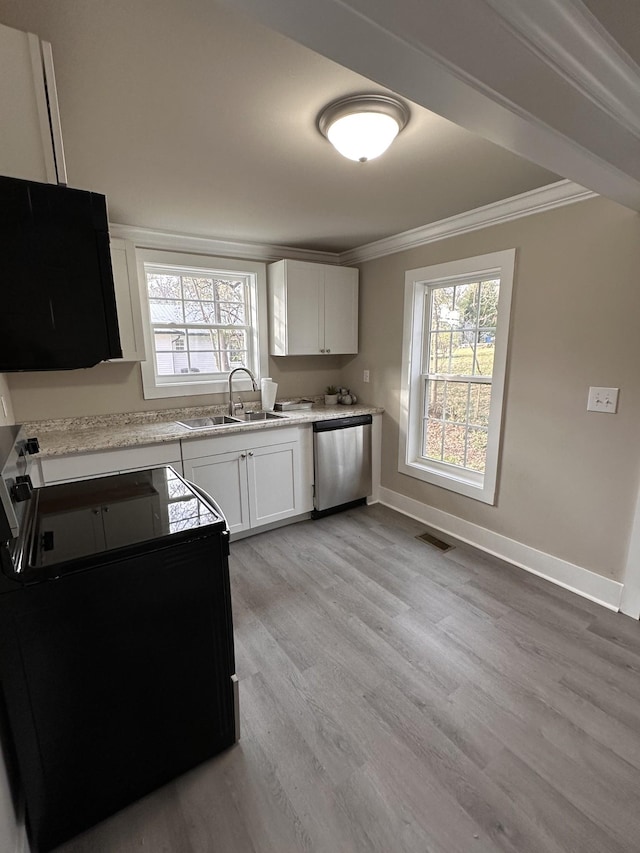 kitchen featuring a sink, a healthy amount of sunlight, crown molding, and stainless steel dishwasher