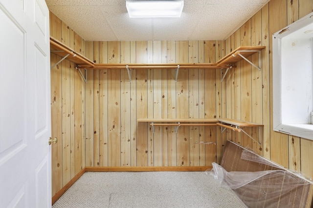 spacious closet featuring carpet flooring