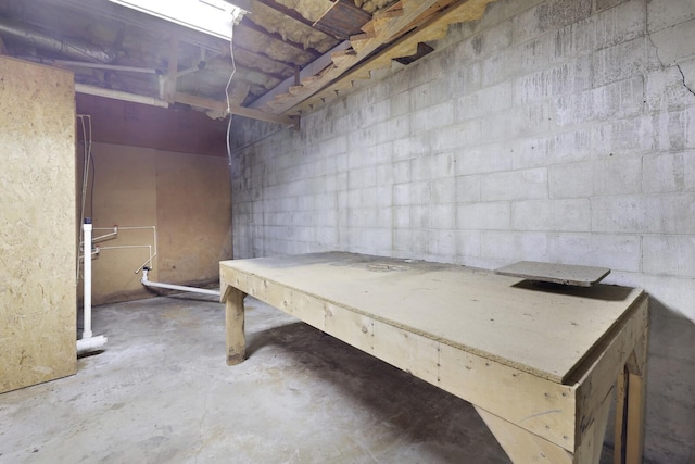 basement with concrete block wall