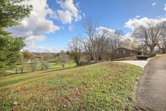 view of yard featuring driveway