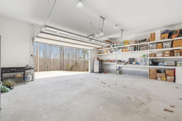 garage with a garage door opener