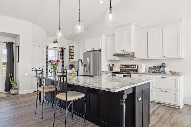 kitchen featuring white cabinets, light wood-style floors, an island with sink, stainless steel appliances, and under cabinet range hood