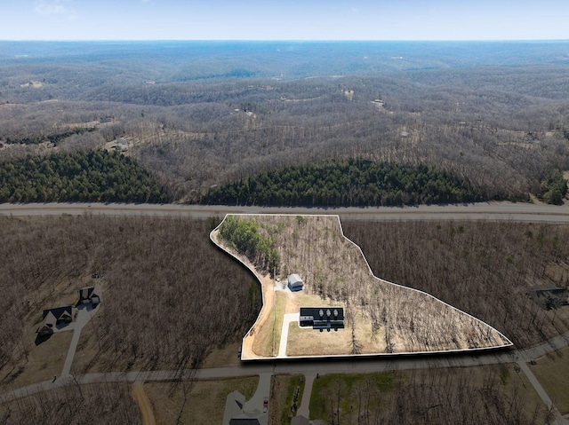 aerial view with a wooded view