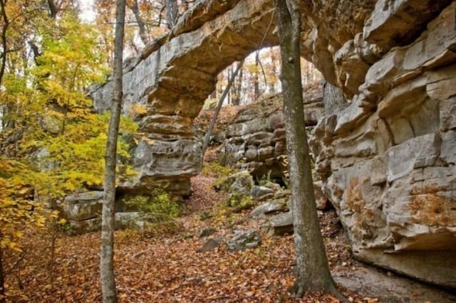 view of local wilderness