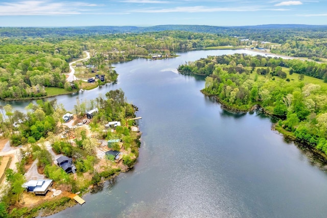 aerial view with a water view and a view of trees