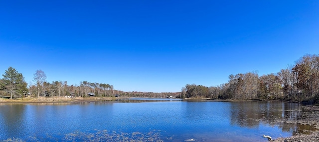 property view of water featuring a wooded view