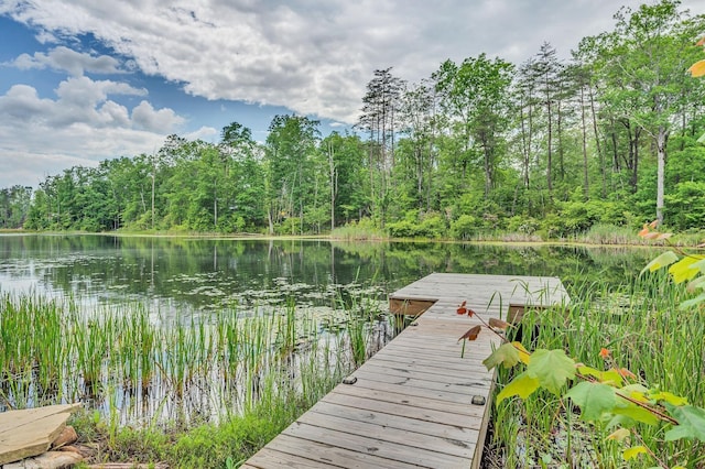 dock area featuring a water view and a wooded view