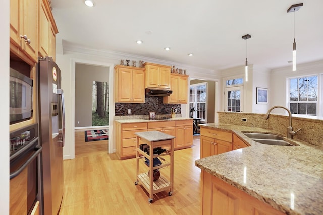 kitchen with appliances with stainless steel finishes, crown molding, under cabinet range hood, light brown cabinets, and a sink