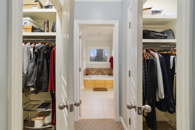 view of closet