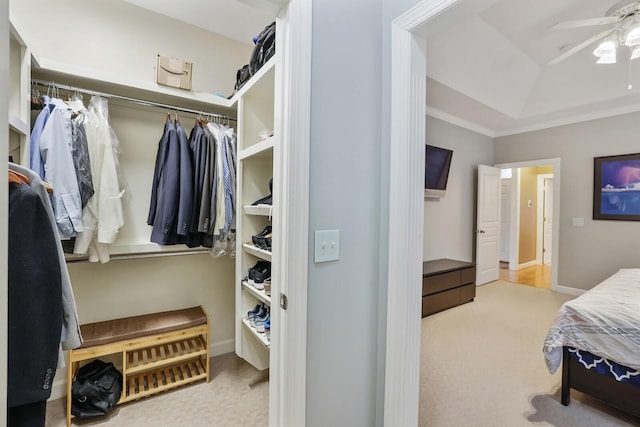 spacious closet featuring carpet floors, a tray ceiling, and a ceiling fan