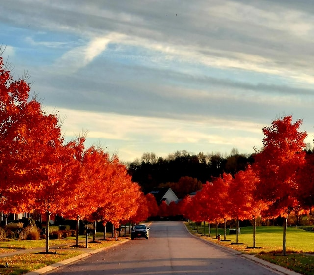 surrounding community with a yard