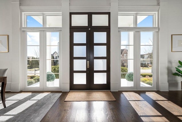 doorway featuring a healthy amount of sunlight, dark wood finished floors, and french doors