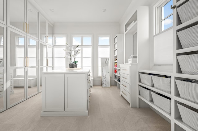 spacious closet with light colored carpet