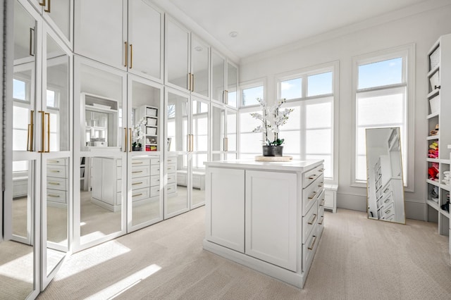 spacious closet with light colored carpet