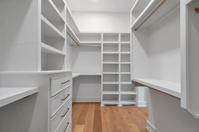 spacious closet with light wood-style flooring