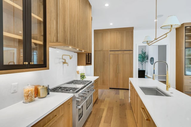 kitchen featuring a sink, light wood-style floors, light countertops, high end appliances, and glass insert cabinets