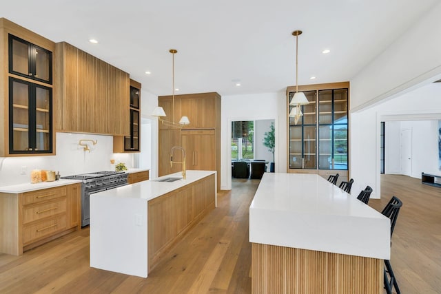 kitchen featuring light wood finished floors, an island with sink, high quality appliances, light countertops, and a sink